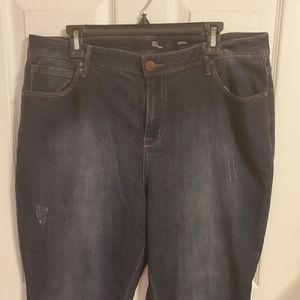 1822 Denim Women's Adrianna Denim Skinny Jeans 20W